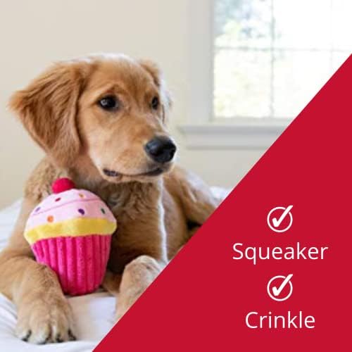 H&K לכלבים פלאש כוח | Pupcake ורוד | יום הולדת צעצוע כלבים מצחיק | צעצוע של כלבים עם חריק | מתנת כלבים | כיף, עמיד ובטוח